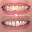 Studio Dentistico Studio Odontoiatrico Tribolati logo