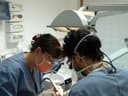 Studio Dentistico Dott. Massimo Pinelli S.R.L, logo