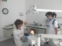 Studio Dentistico Dott.ssa Elisabetta Papalia logo