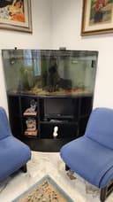 Studio Dentistico Giovanni Vecchio logo