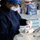 Studio Dentistico Dr. Enrico Cataneo logo