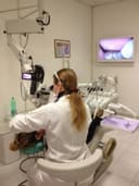 Studio Dentistico Dott.ssa Silvia Broglia logo