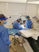 Studio Dentistico Morciano logo