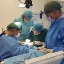 Studio Dentistico COB logo