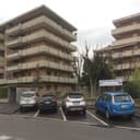 Studio Dentistico Dentalmedica Annoni logo