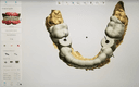 Studio Dentistico COB Centro Odontoiatrico logo