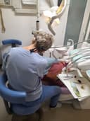 Studio Dentistico dr Marco Bazzucchi logo