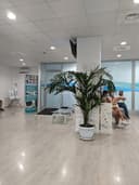 Studio Dentistico OdontoSalute Isernia logo