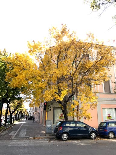 Studio Dentistico FALMED logo