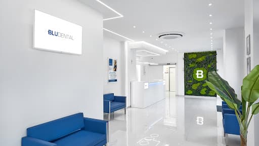 Studio Dentistico Bludental - Busto Arsizio logo