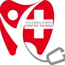 andrea-palmerio logo