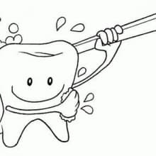 Foto del profilo diFabio Romeo