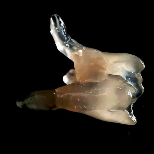 Studio Dentistico Dr. Antonio Ferraro logo