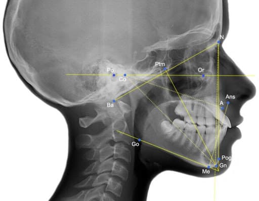 Studio Dentistico Dentalmonitor logo