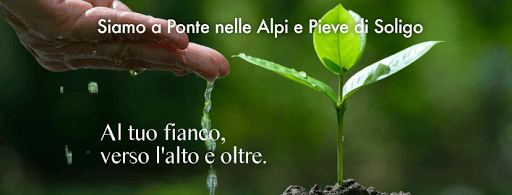 Studio Dentistico Dental Q - Pieve di Soligo logo